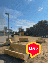 Summer View GIF by Linz News