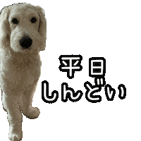 Dog 犬 Sticker