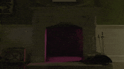 meowwolf fireplace meow wolf meowwolf meow wolf santa fe GIF