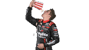 noah gragson race Sticker by NASCAR