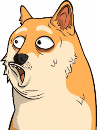 Wait What Wow GIF by Doge Pound
