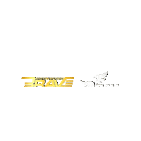 Sport Fighting Sticker by BRAVE Combat Federation