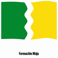 Flag Spain GIF by Formación Ninja
