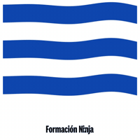 Flag Spain GIF by Formación Ninja