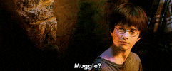 Harry Potter Wizard GIF