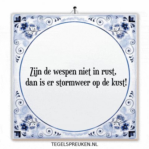 Wijsheid Spanning GIF by Tegelspreuken.nl