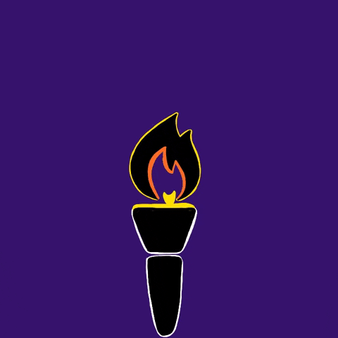 Olympic Torch Olympics GIF