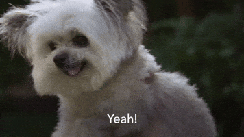 Yeah!