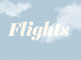 flight GIF