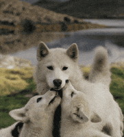 momma kiss GIF