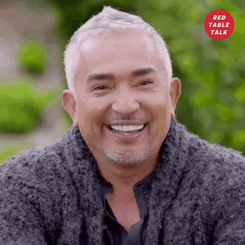 cesar millan GIF by Red Table Talk