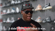 Dennis Rodman Sneaker Shopping GIF by Complex