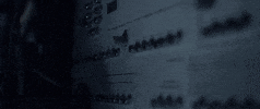 Silverlake Shorts GIF