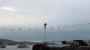 art loop GIF by Erdal Inci