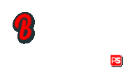 Ps Belge Sticker by Parti Socialiste