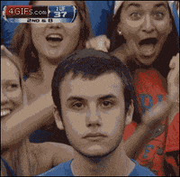 football fan GIF