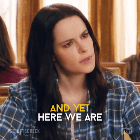 Sarcastic Dan Levy GIF by Schitt's Creek