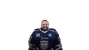 Ice Hockey Sticker by Fehervar AV19