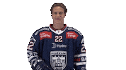 Celebration Goal Sticker by Fehervar AV19