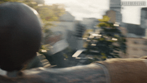 Karate Kid Fight GIF by Sony Pictures