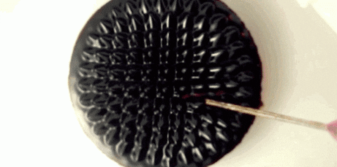 scientist experiments GIF