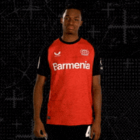 Bayer 04 No GIF by Bayer 04 Leverkusen