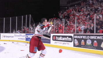 CardiffDevils cardiff devils andrew lord lordo GIF