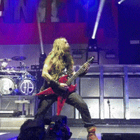 Pantera GIF