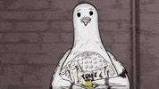 season 1 cats GIF by Animals