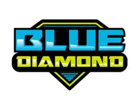 bluediamondsofla detailing bluediamond bluediamonddetailing bluediamondsofla GIF
