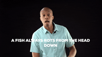 A fish always rots from the head down