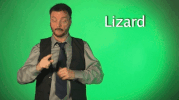 sign language lizard GIF by Sign with Robert
