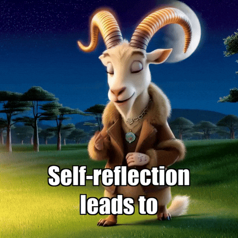 GIF by Radiantelope