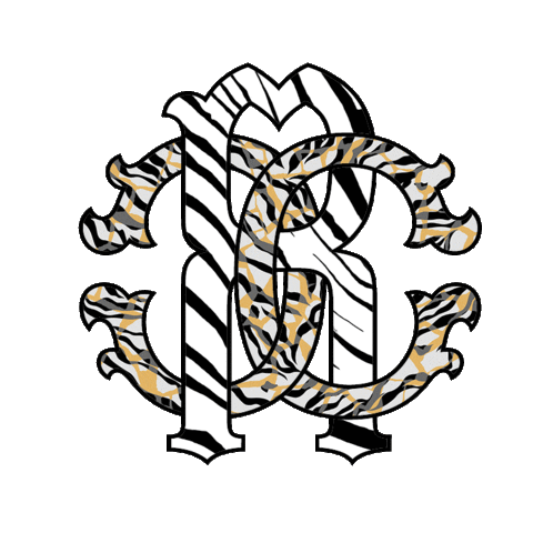 happy fashion Sticker by Roberto Cavalli