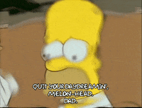 homer simpson episode 10 GIF