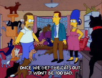 homer simpson episode 10 GIF