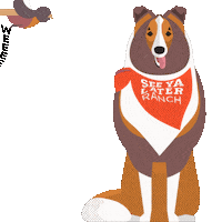 SYLRanchWinery party dog wine doggo Sticker