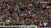 Soccer Bundesliga GIF by VfL Wolfsburg