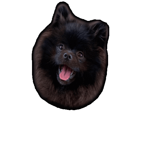 Wilmade giphygifmaker love happy dog Sticker