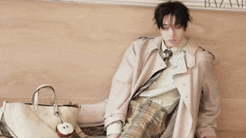 Stray Kids Chan GIF