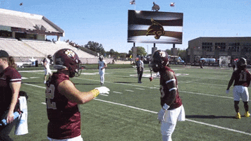 Sport Bobcats GIF by Texas State Football
