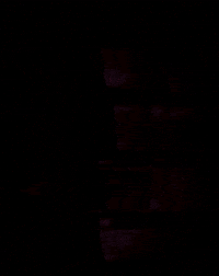 Happiness when you get your 3D Printer