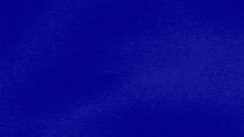 The Bear GIF by Jeopardy!