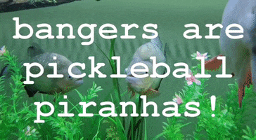 Pickleball Bangers GIF