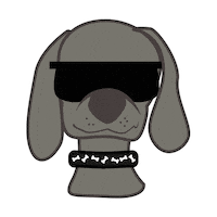 I Know Love Sticker by petikur