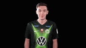 E Sports Sport GIF by VfL Wolfsburg