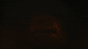 Monster Omg GIF by Warner Bros. Deutschland