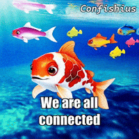 GIF by TheConfishius