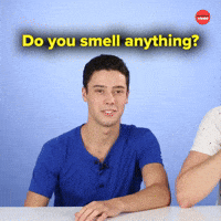 You smell anything? I don't.