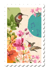 Turismo Aves Sticker by El Tortugazo